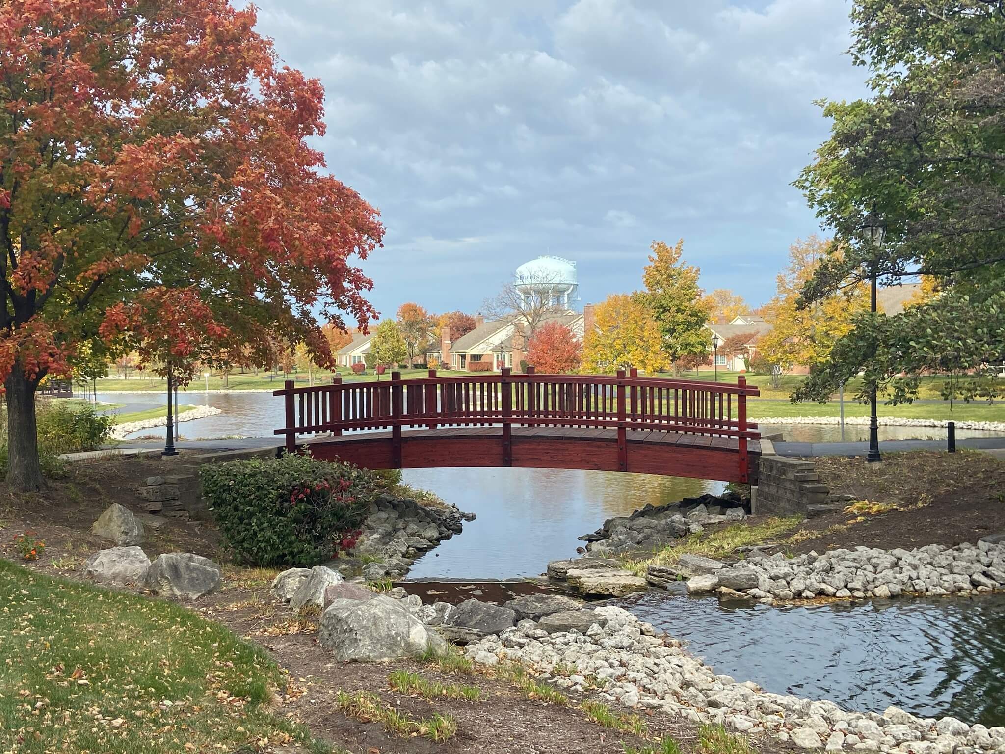bridge over the pond