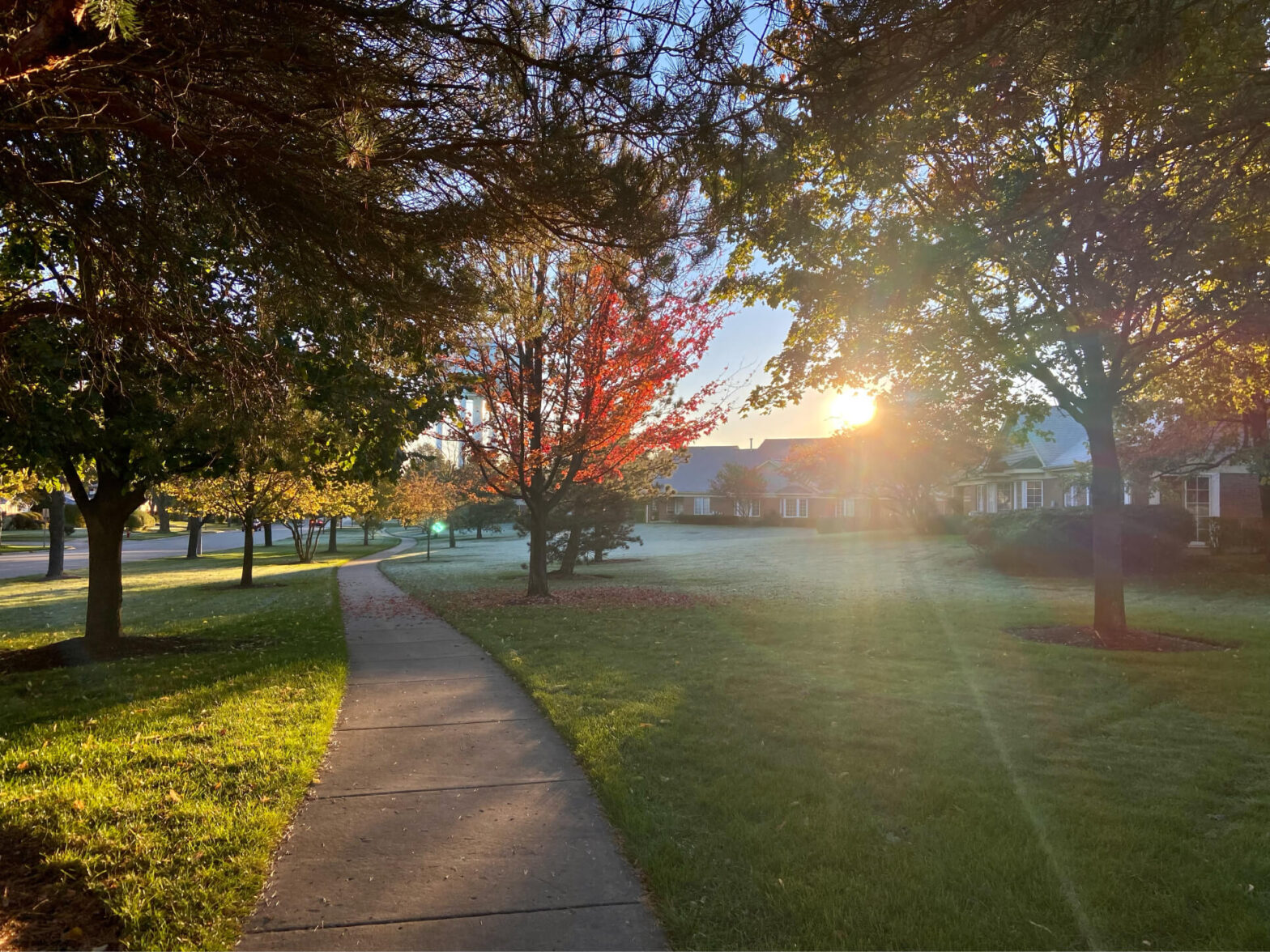 Lifestyle Luther Village