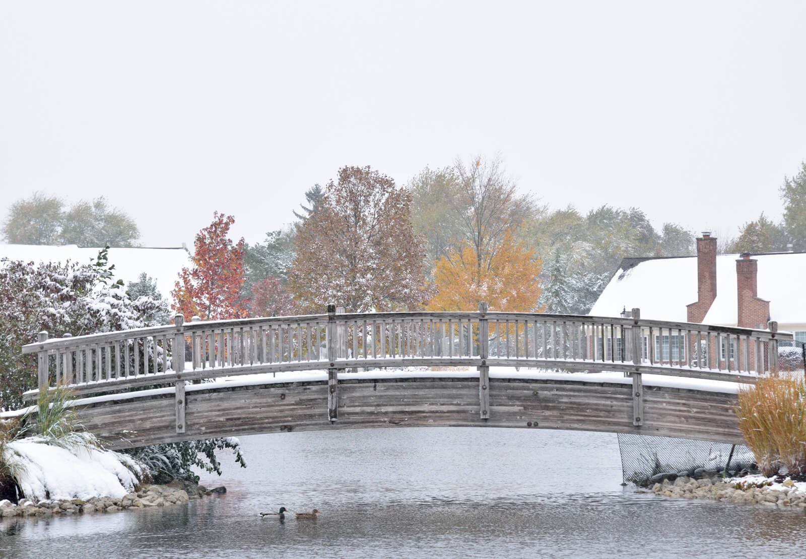 snow covered bridge