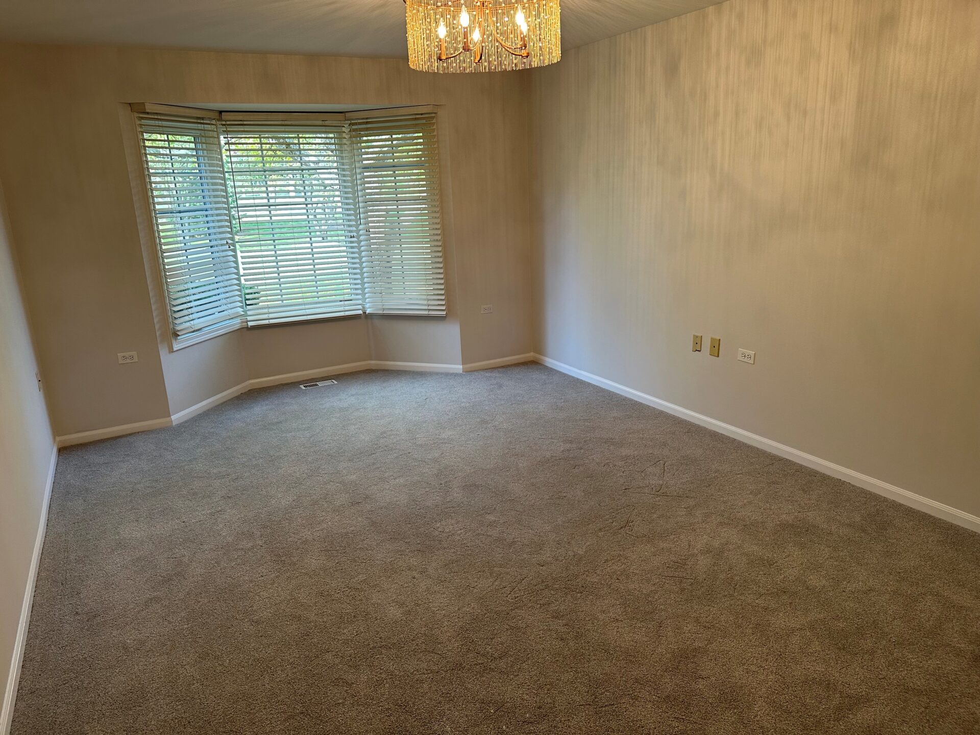 No Alt Tag Available