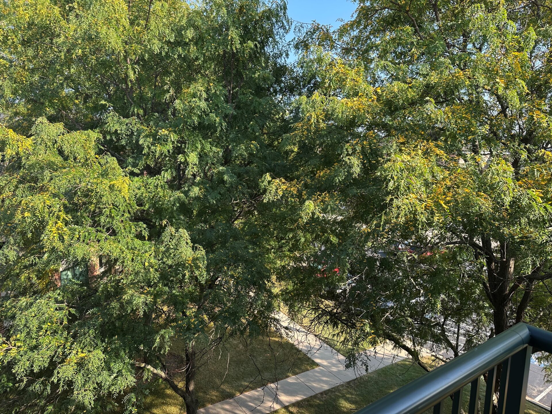 No Alt Tag Available