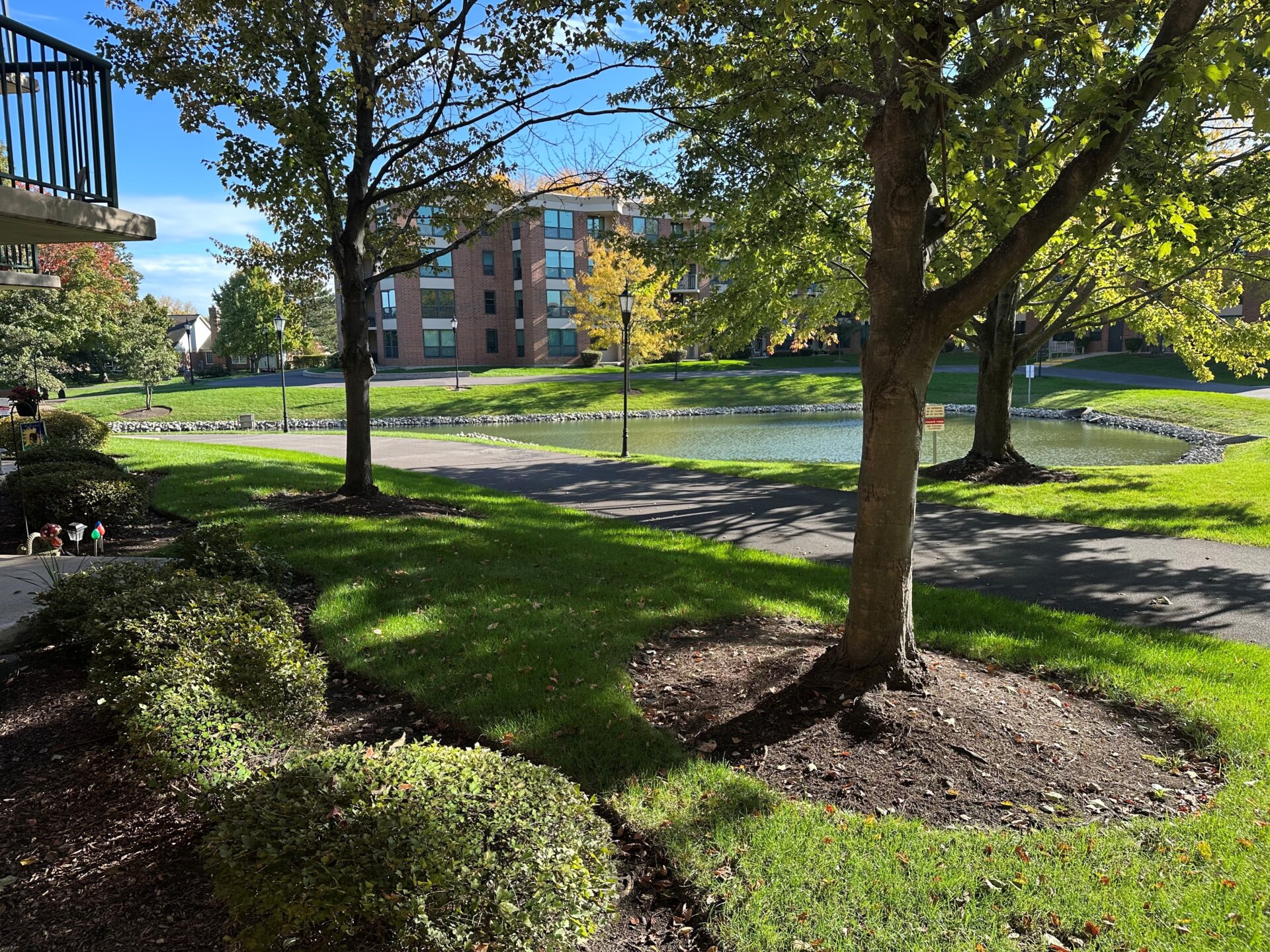 No Alt Tag Available