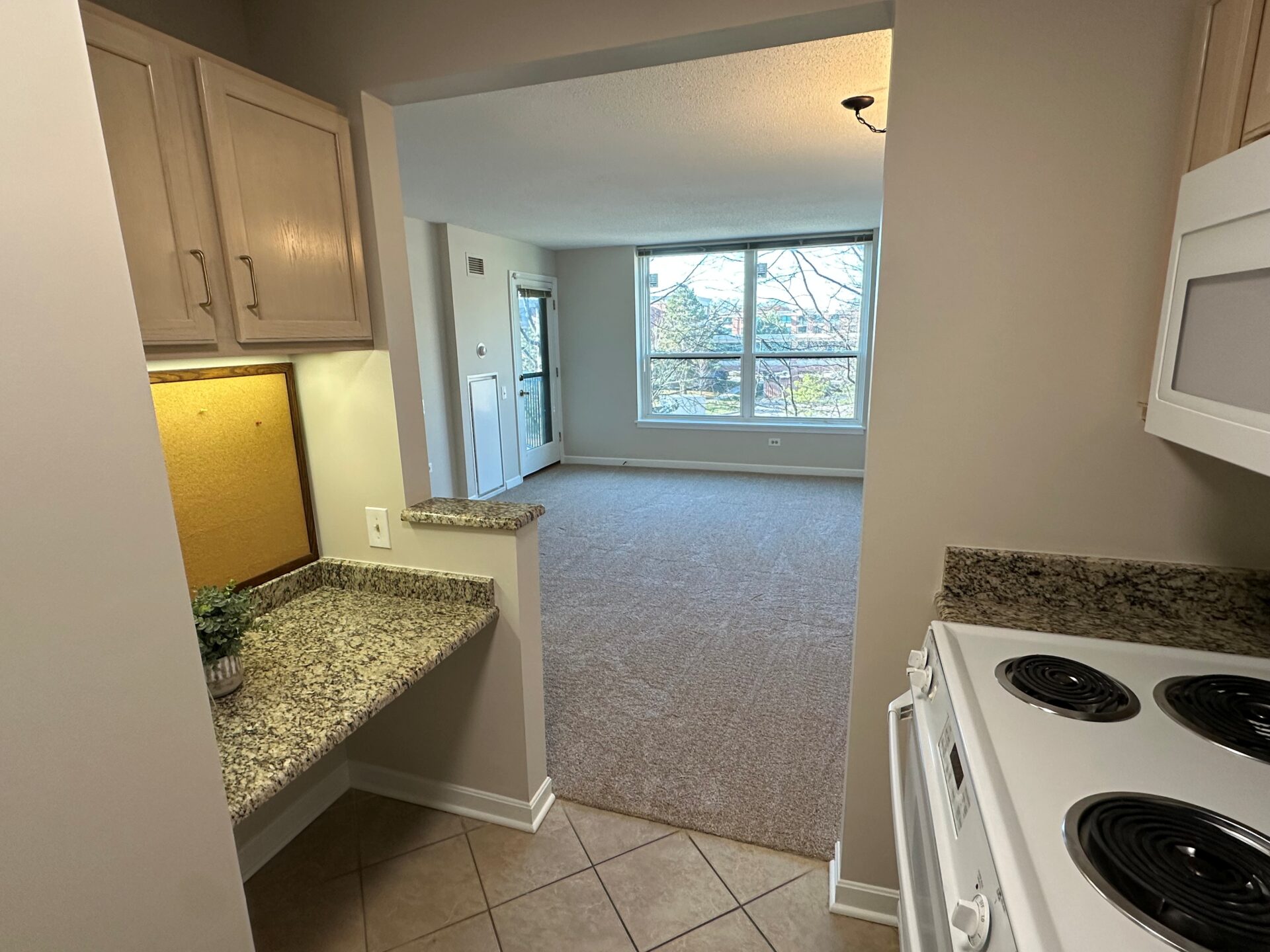 No Alt Tag Available