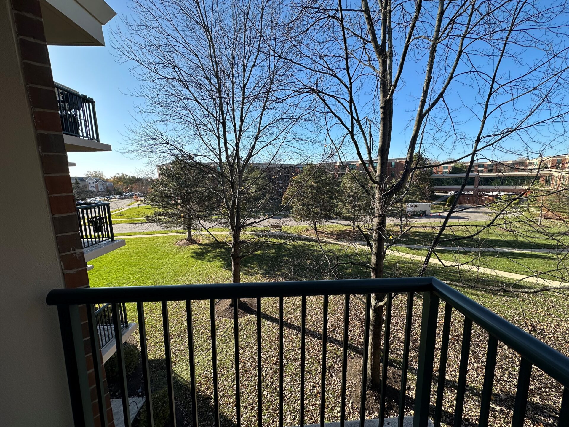 No Alt Tag Available