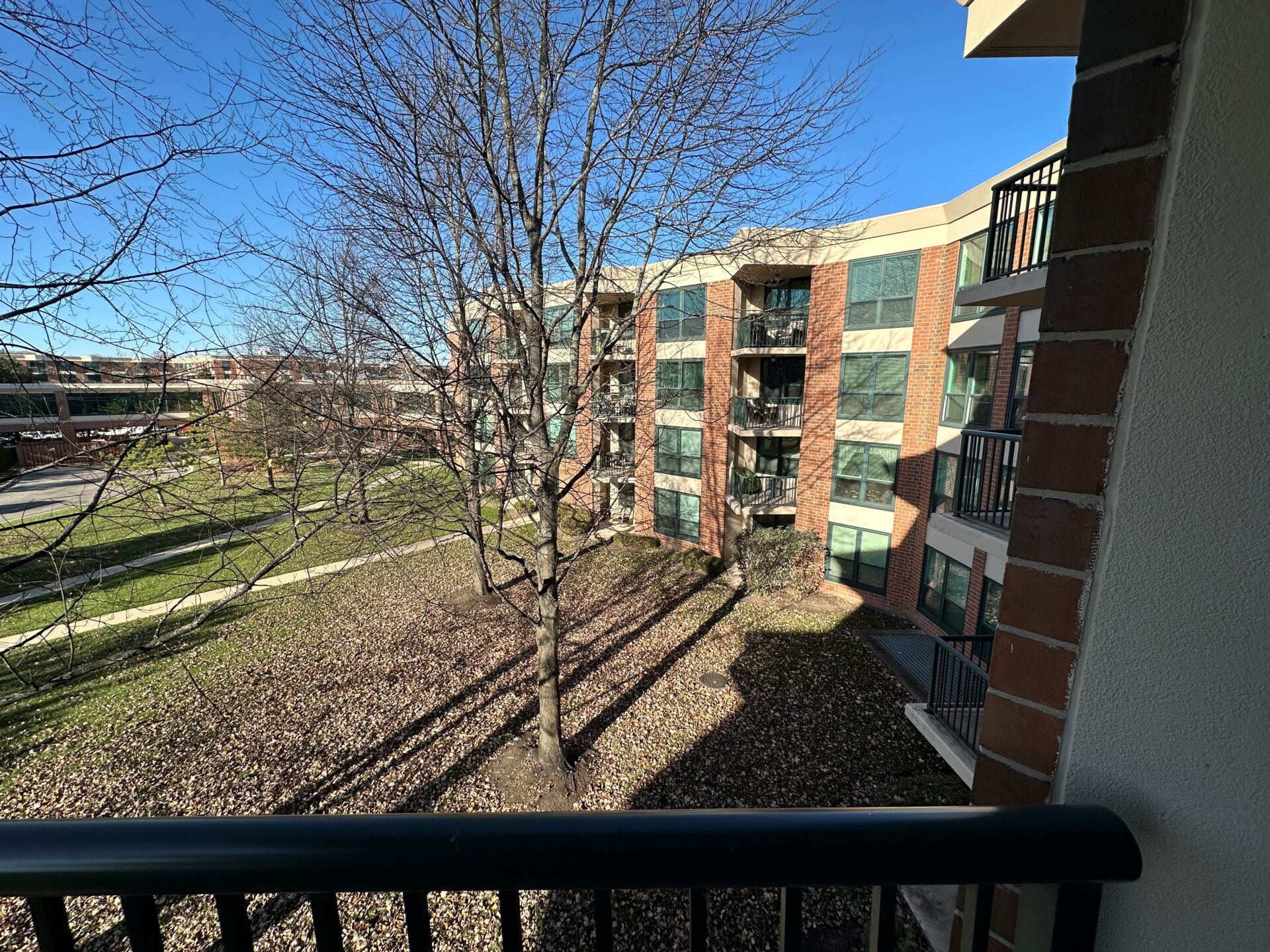 No Alt Tag Available