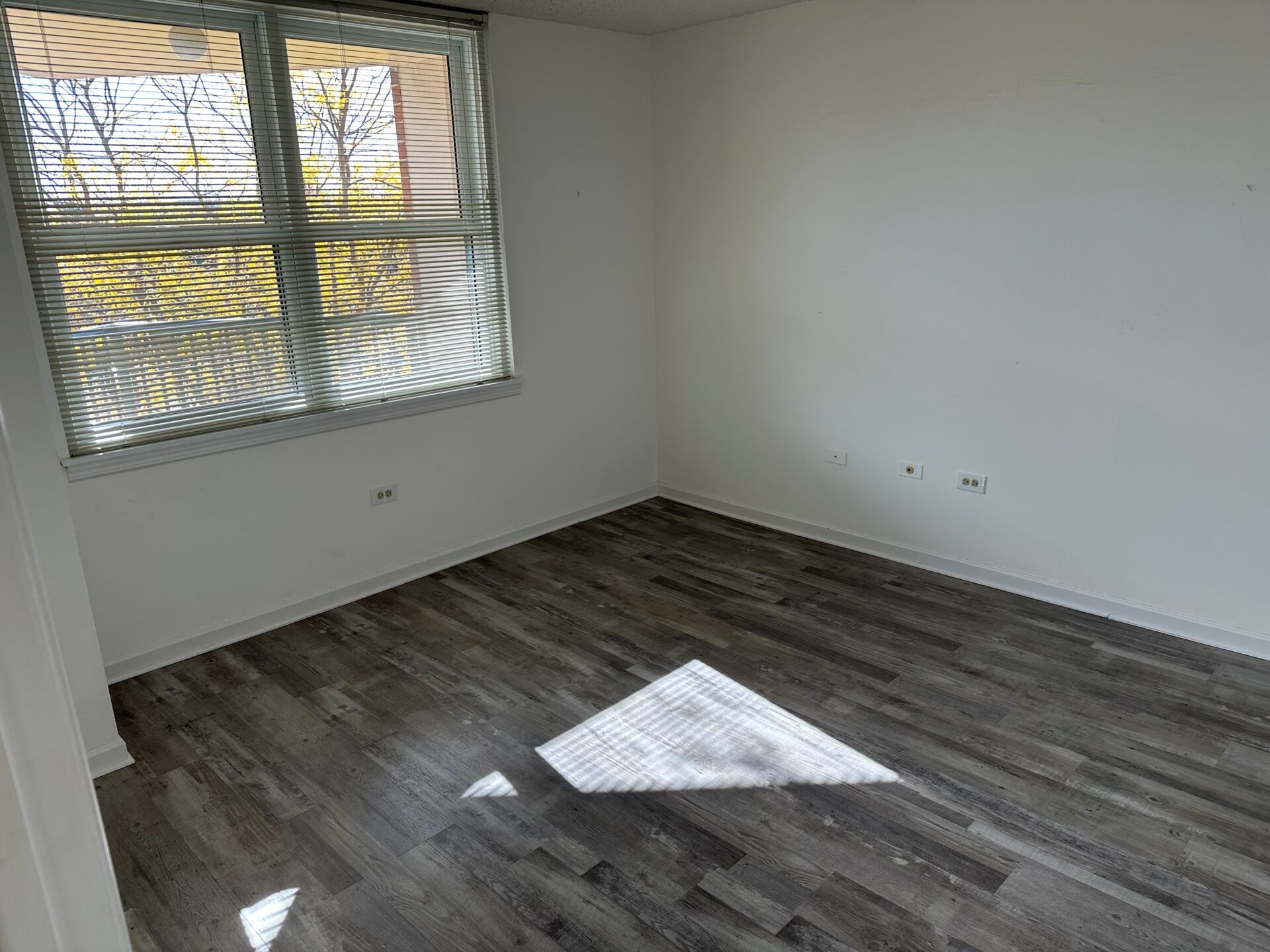 No Alt Tag Available