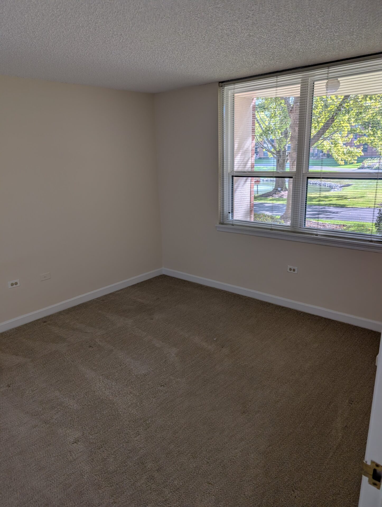 No Alt Tag Available