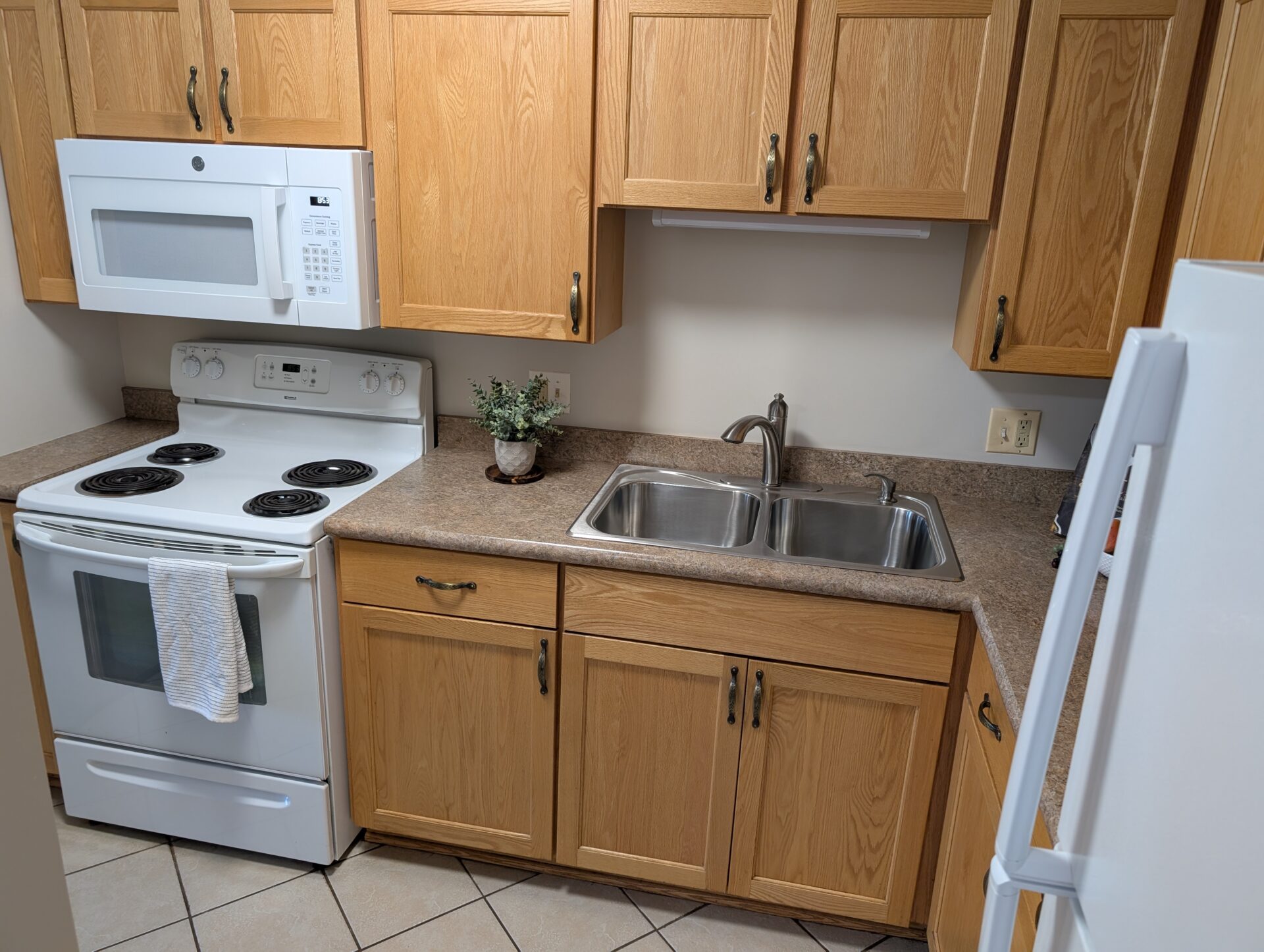 No Alt Tag Available