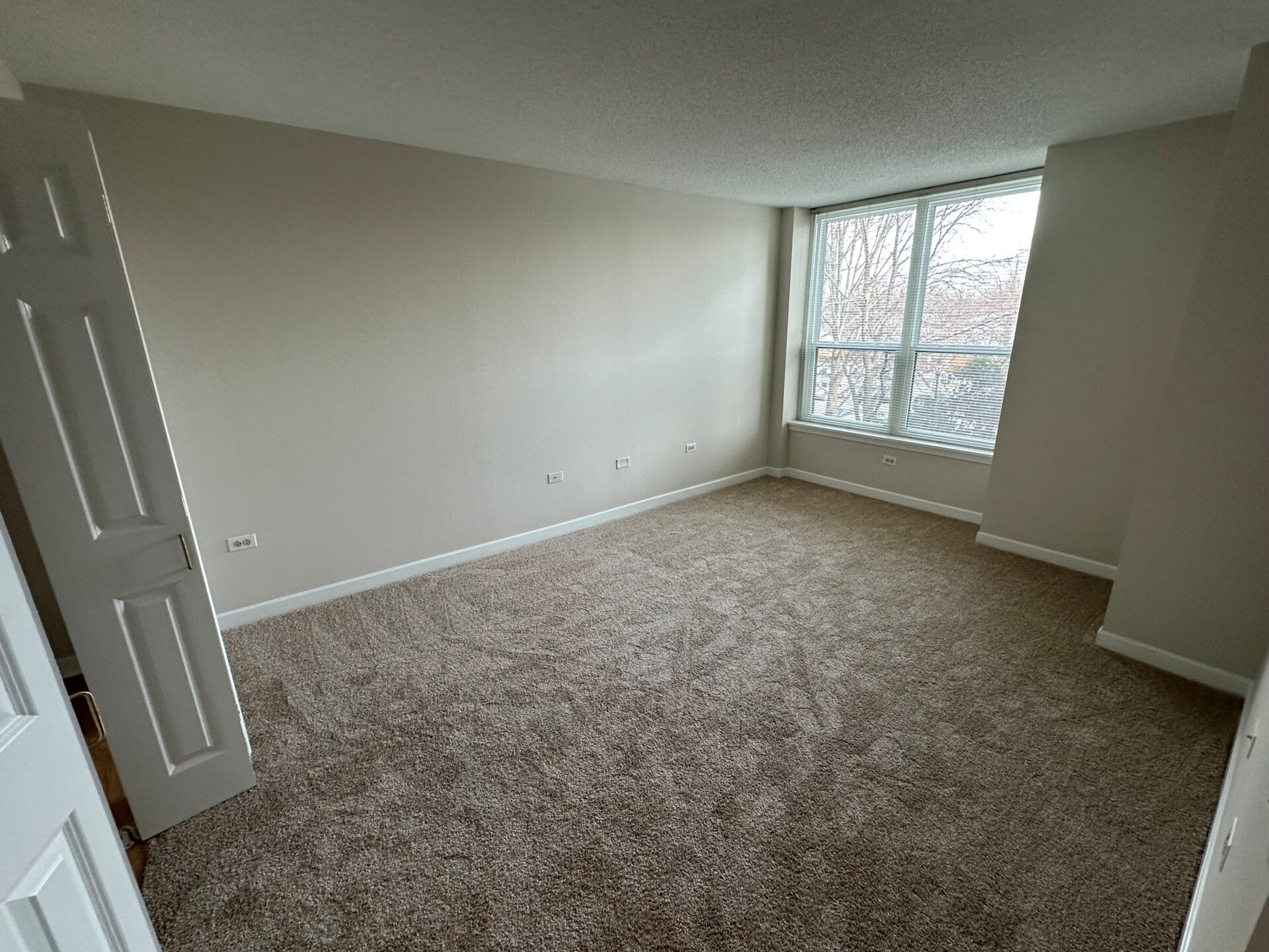 No Alt Tag Available