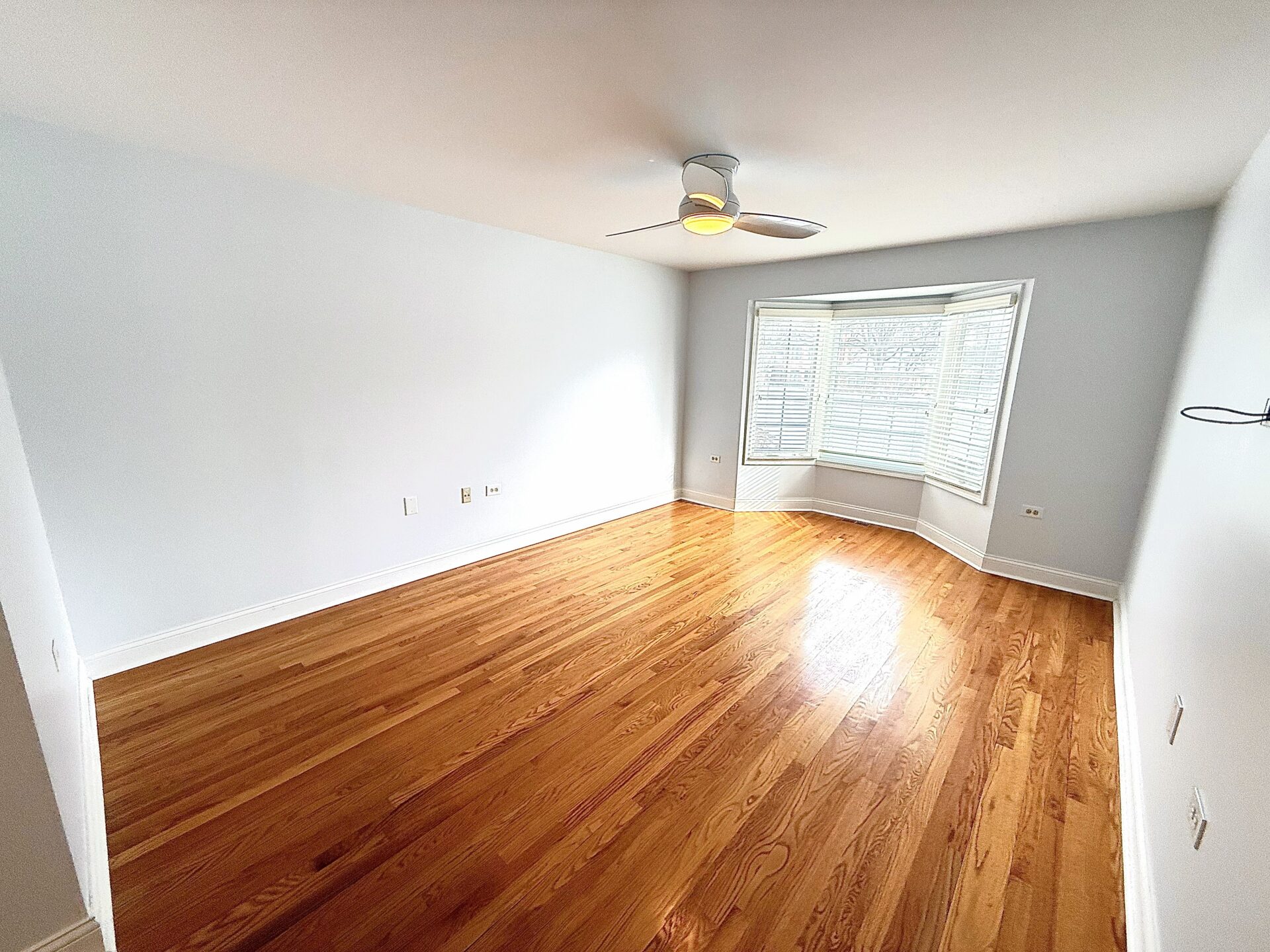 No Alt Tag Available