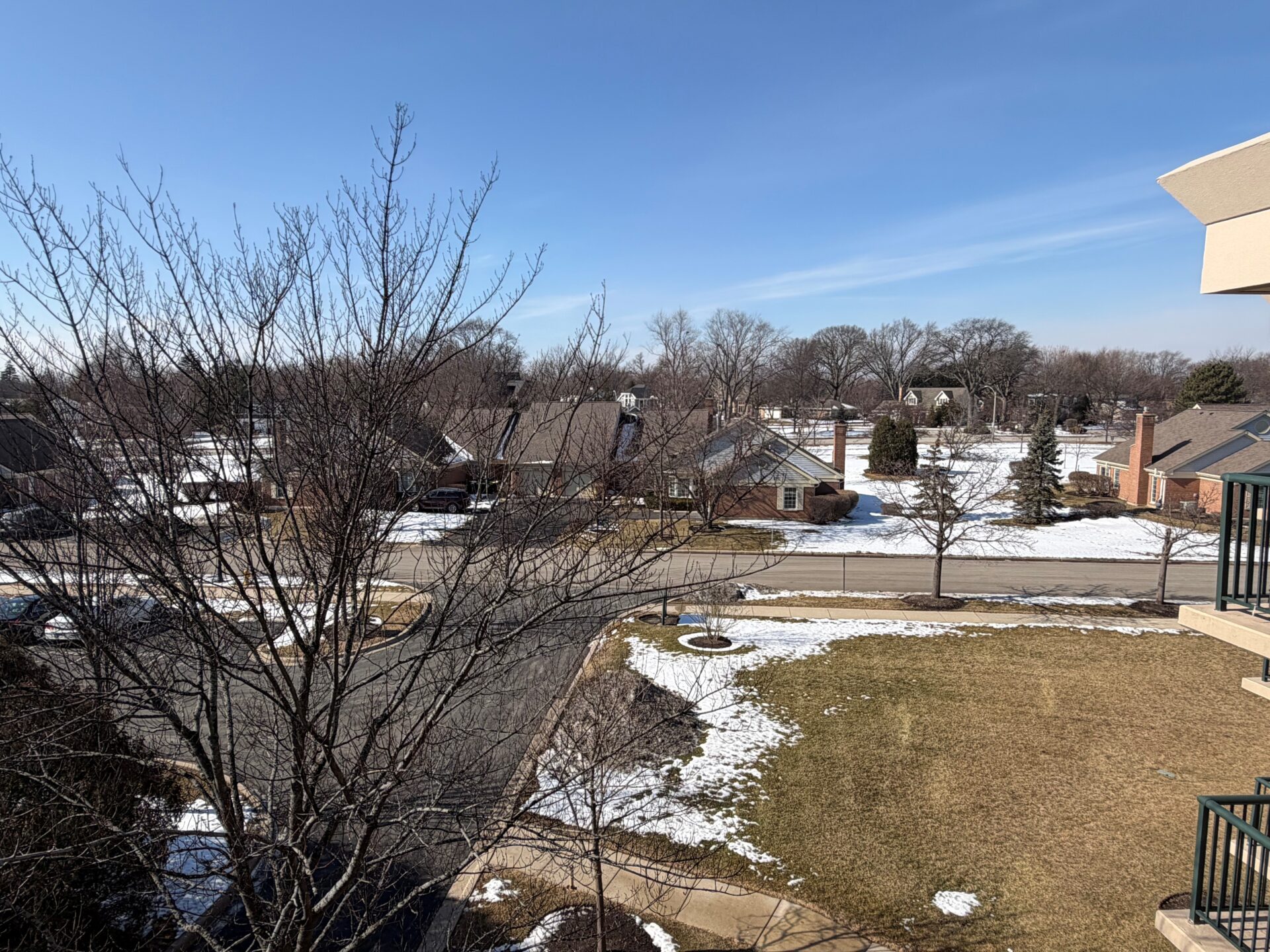 No Alt Tag Available